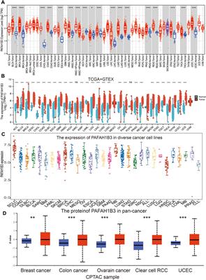 Frontiers Comprehensive Analysis Of The Prognostic And Immunological